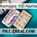 Kamagra 100 Ajanta new12